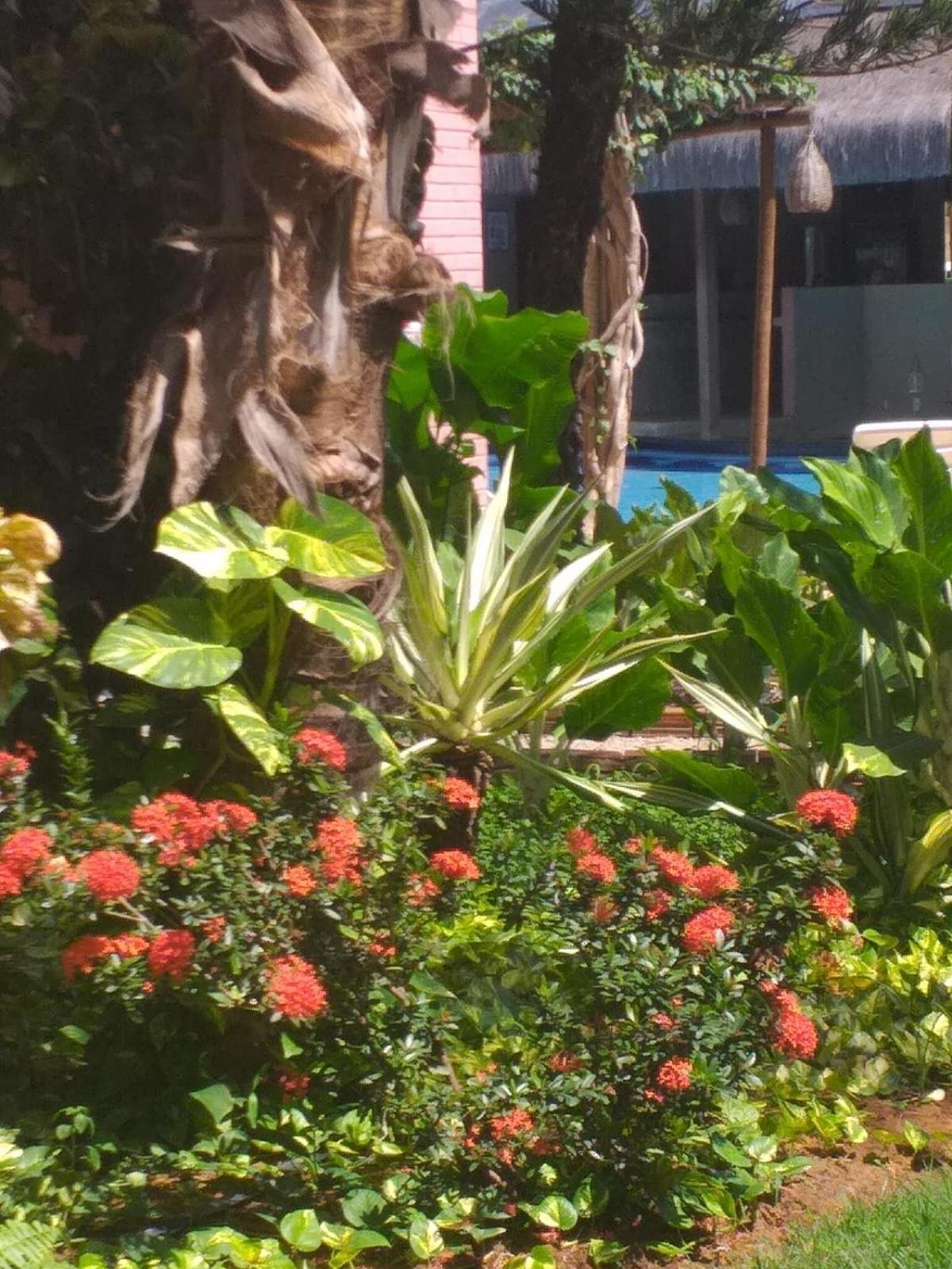 Chale Tulipa - Centro Praia Da Pipa Praia de Pipa Экстерьер фото